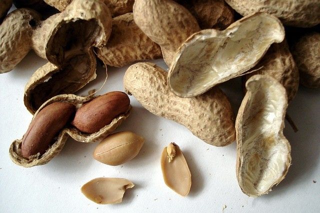 [Creative Treasure Box EP8] Shell Yeah! Satisfy Your Peanut Cravings with Ease