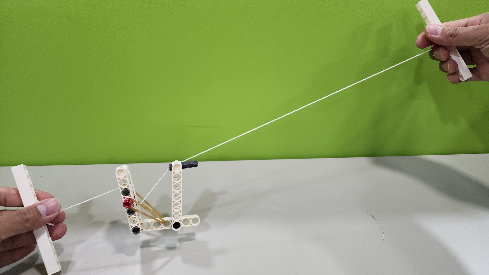 生活中的科學EP23-爬樹小猴子