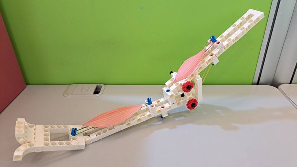 [創意百寶箱 EP21] 居家健身房－二頭彎舉模擬手臂！